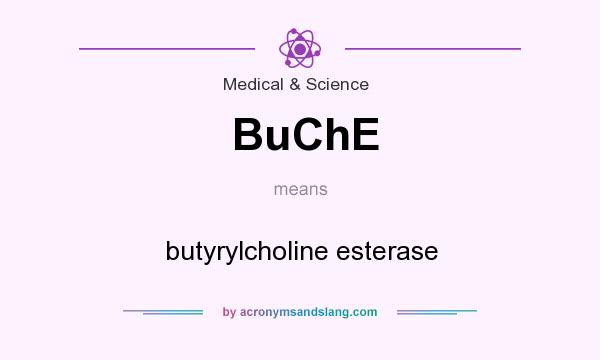 What does BuChE mean? It stands for butyrylcholine esterase
