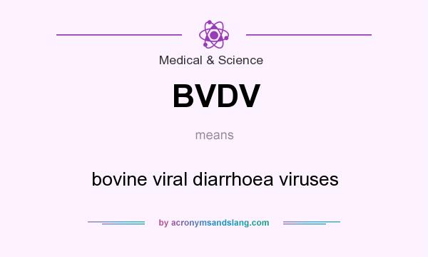 What does BVDV mean? It stands for bovine viral diarrhoea viruses