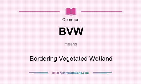 What does BVW mean? It stands for Bordering Vegetated Wetland