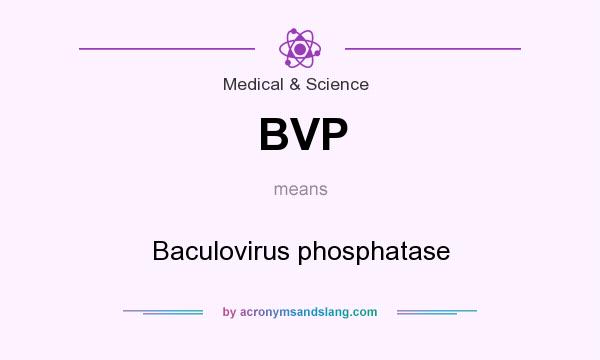 What does BVP mean? It stands for Baculovirus phosphatase