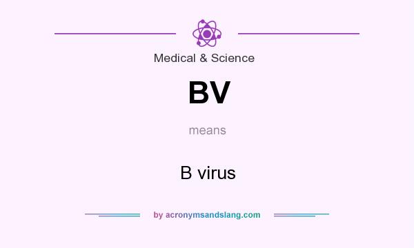 What does BV mean? It stands for B virus