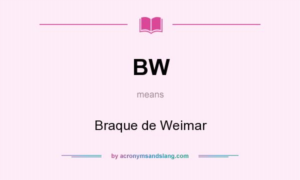 What does BW mean? It stands for Braque de Weimar
