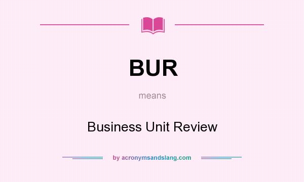 What does BUR mean? It stands for Business Unit Review