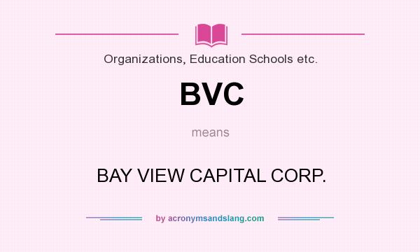What does BVC mean? It stands for BAY VIEW CAPITAL CORP.