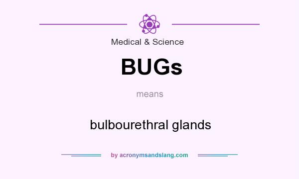 What does BUGs mean? It stands for bulbourethral glands