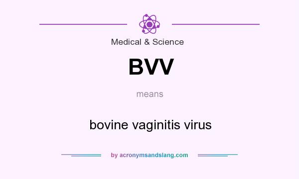 What does BVV mean? It stands for bovine vaginitis virus