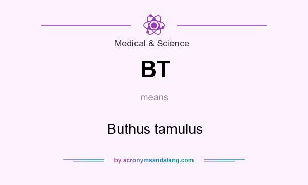 What does BT mean? It stands for Buthus tamulus