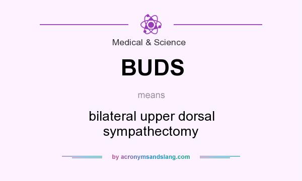What does BUDS mean? It stands for bilateral upper dorsal sympathectomy