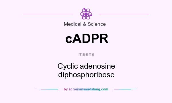 What does cADPR mean? It stands for Cyclic adenosine diphosphoribose