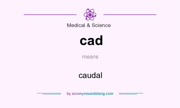 What does cad mean? It stands for caudal