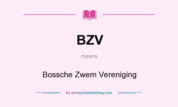 What does BZV mean? It stands for Bossche Zwem Vereniging