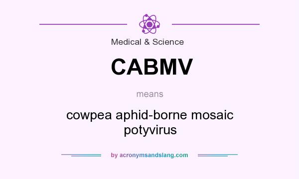 What does CABMV mean? It stands for cowpea aphid-borne mosaic potyvirus
