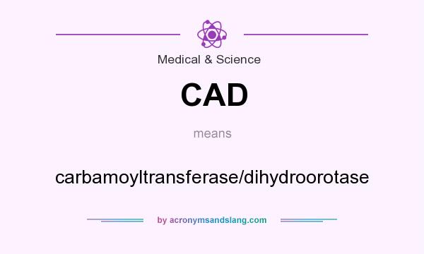 What does CAD mean? It stands for carbamoyltransferase/dihydroorotase