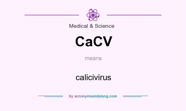 What does CaCV mean? It stands for calicivirus