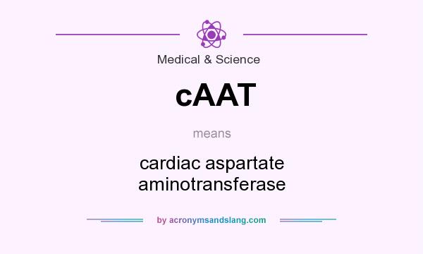 What does cAAT mean? It stands for cardiac aspartate aminotransferase