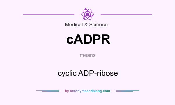 What does cADPR mean? It stands for cyclic ADP-ribose