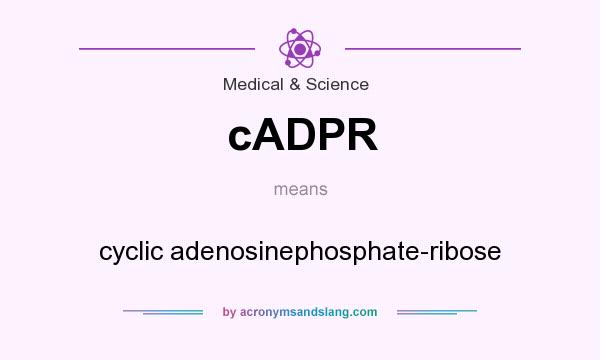 What does cADPR mean? It stands for cyclic adenosinephosphate-ribose