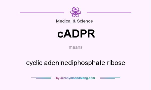 What does cADPR mean? It stands for cyclic adeninediphosphate ribose