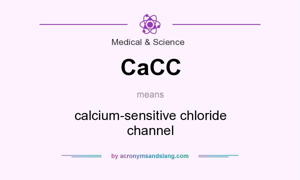 What does CaCC mean? It stands for calcium-sensitive chloride channel