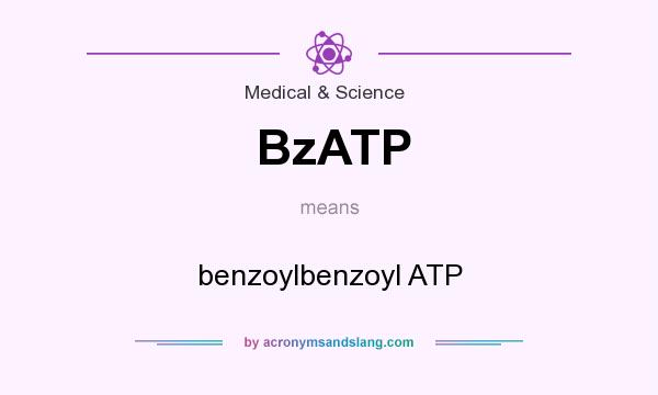 What does BzATP mean? It stands for benzoylbenzoyl ATP