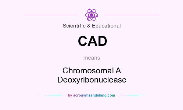 What does CAD mean? It stands for Chromosomal A Deoxyribonuclease
