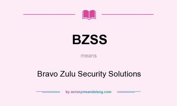 What does BZSS mean? It stands for Bravo Zulu Security Solutions