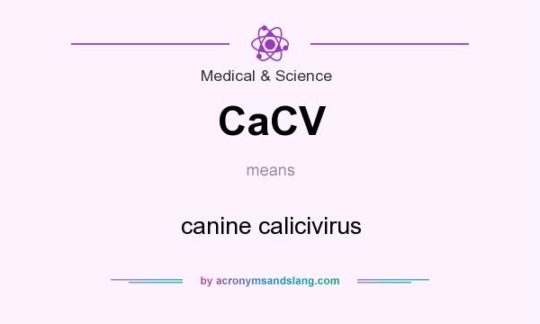 What does CaCV mean? It stands for canine calicivirus