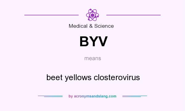 What does BYV mean? It stands for beet yellows closterovirus