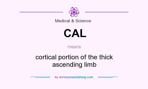 What does CAL mean? It stands for cortical portion of the thick ascending limb