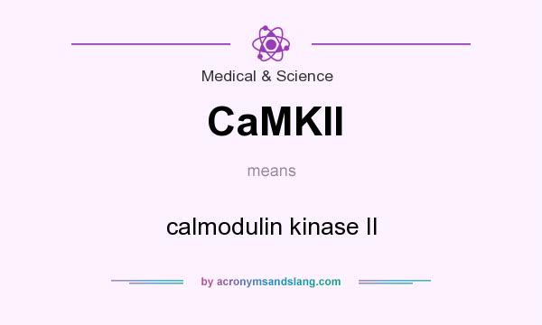 What does CaMKII mean? It stands for calmodulin kinase II