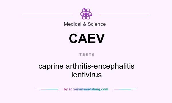What does CAEV mean? It stands for caprine arthritis-encephalitis lentivirus