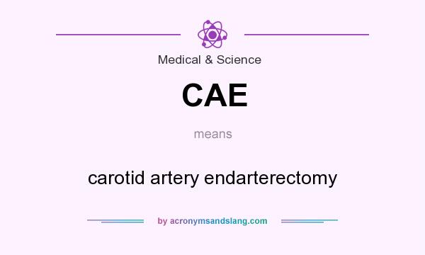 What does CAE mean? It stands for carotid artery endarterectomy