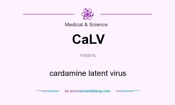 What does CaLV mean? It stands for cardamine latent virus