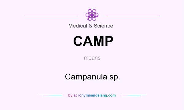 What does CAMP mean? It stands for Campanula sp.