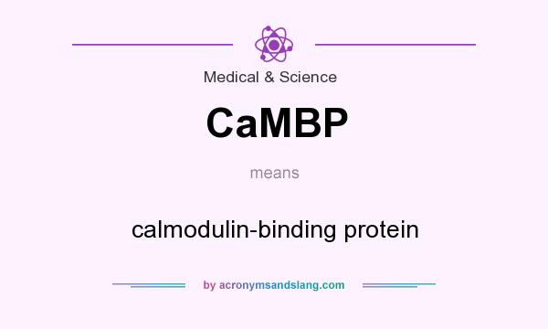 What does CaMBP mean? It stands for calmodulin-binding protein
