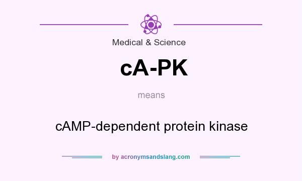 What does cA-PK mean? It stands for cAMP-dependent protein kinase