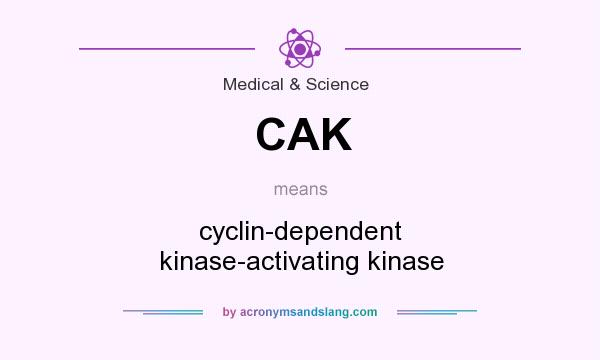 What does CAK mean? It stands for cyclin-dependent kinase-activating kinase