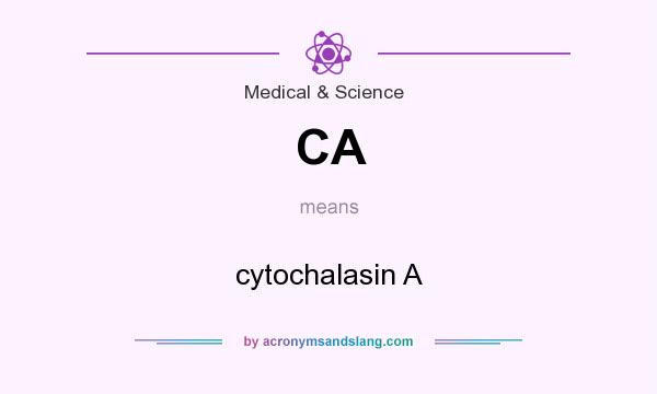 What does CA mean? It stands for cytochalasin A