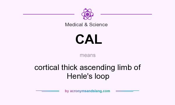 What does CAL mean? It stands for cortical thick ascending limb of Henle`s loop