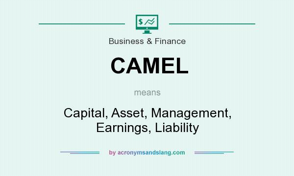 What does CAMEL mean? It stands for Capital, Asset, Management, Earnings, Liability