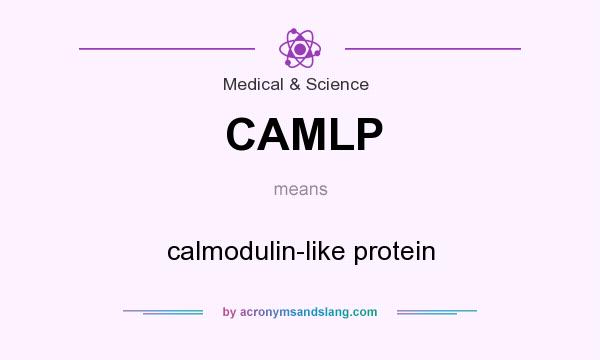 What does CAMLP mean? It stands for calmodulin-like protein