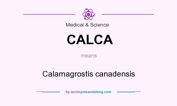 What does CALCA mean? It stands for Calamagrostis canadensis