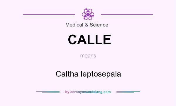 What does CALLE mean? It stands for Caltha leptosepala