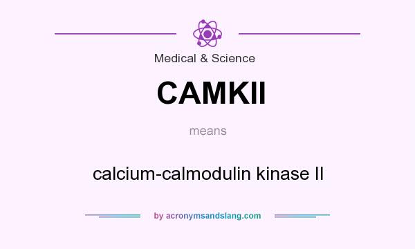 What does CAMKII mean? It stands for calcium-calmodulin kinase II