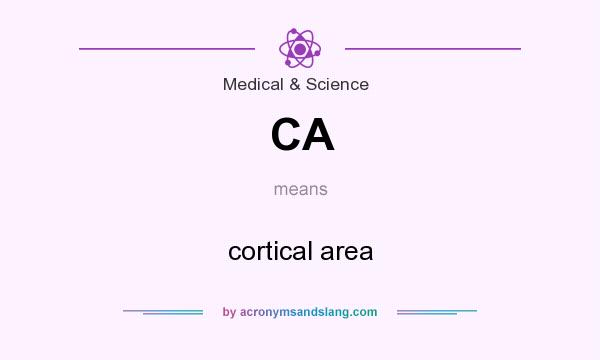 What does CA mean? It stands for cortical area