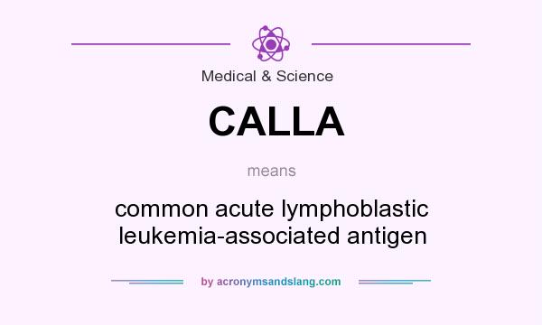 What does CALLA mean? It stands for common acute lymphoblastic leukemia-associated antigen