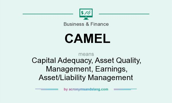 What does CAMEL mean? It stands for Capital Adequacy, Asset Quality, Management, Earnings, Asset/Liability Management