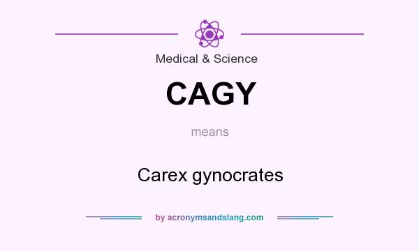 What does CAGY mean? It stands for Carex gynocrates