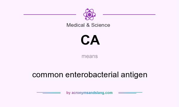 What does CA mean? It stands for common enterobacterial antigen