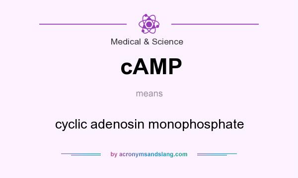What does cAMP mean? It stands for cyclic adenosin monophosphate